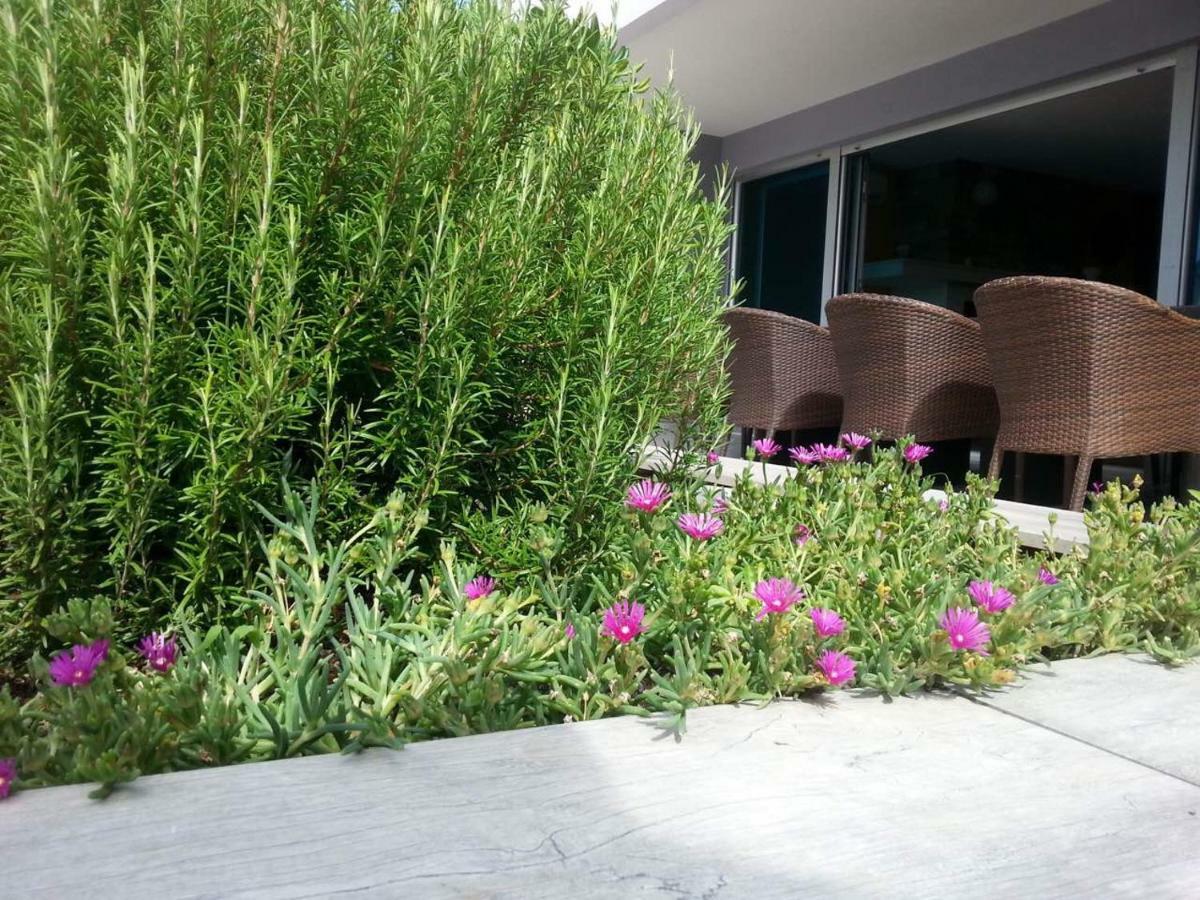 Apartment Nella Кострена Екстериор снимка